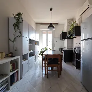 Spadini , Bologna Italia